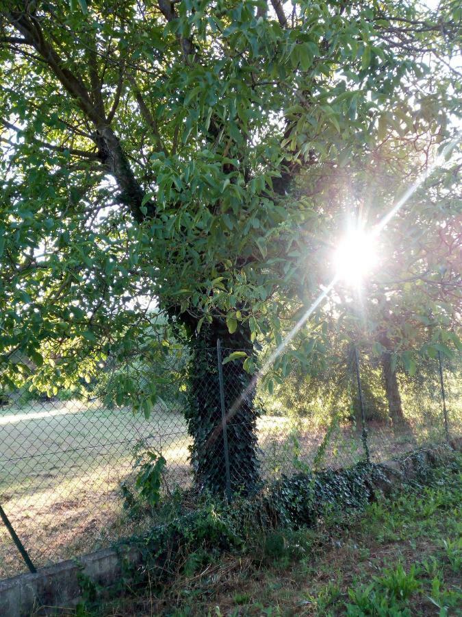 Il Giardino Sul Tevere Appartamento *