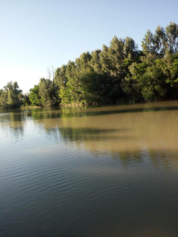 Appartamento Il Giardino Sul Tevere *