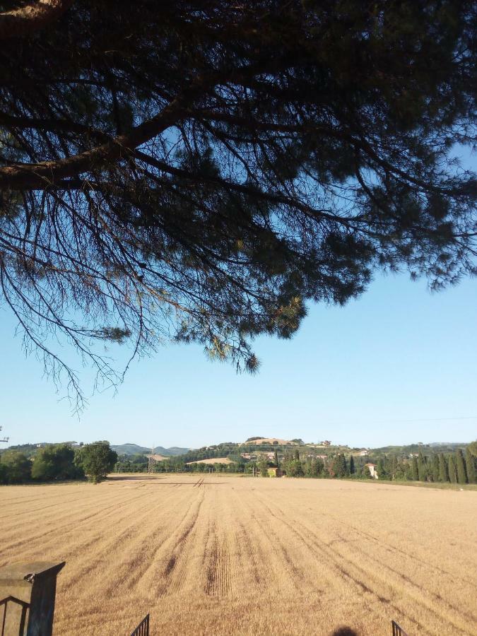 Il Giardino Sul Tevere Appartamento