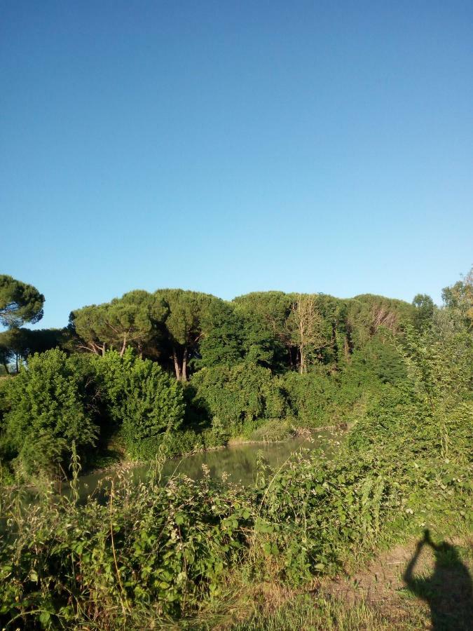 Il Giardino Sul Tevere *